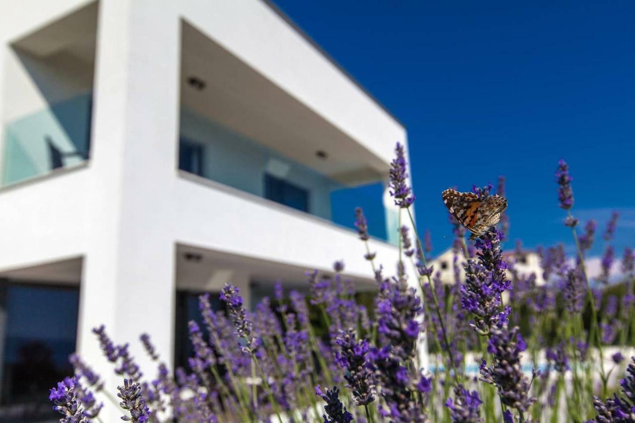 Villa Rina - Luxury Holiday Home تْسْغيكفانِتْسا المظهر الخارجي الصورة